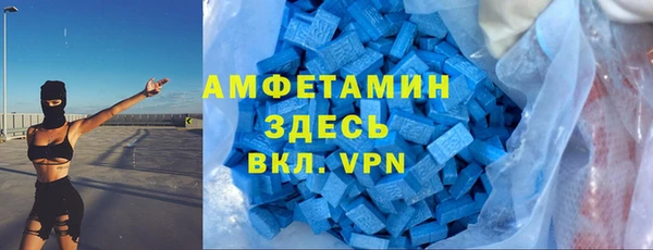 крисы Верхний Тагил