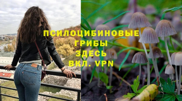 MDMA Premium VHQ Бронницы
