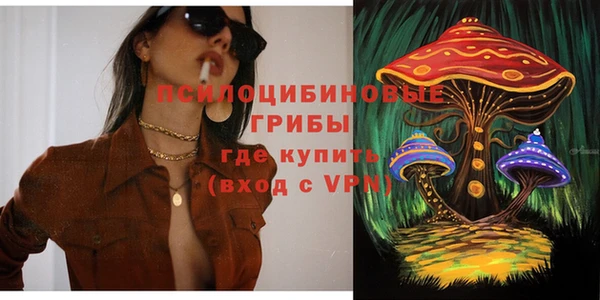 мяу мяу мука Козельск