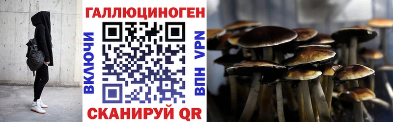 OMG tor  Ефремов  Псилоцибиновые грибы Psilocybine cubensis  закладки 
